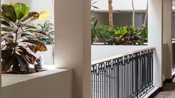 A corridor with a white wall, a black metal railing, and potted plants.