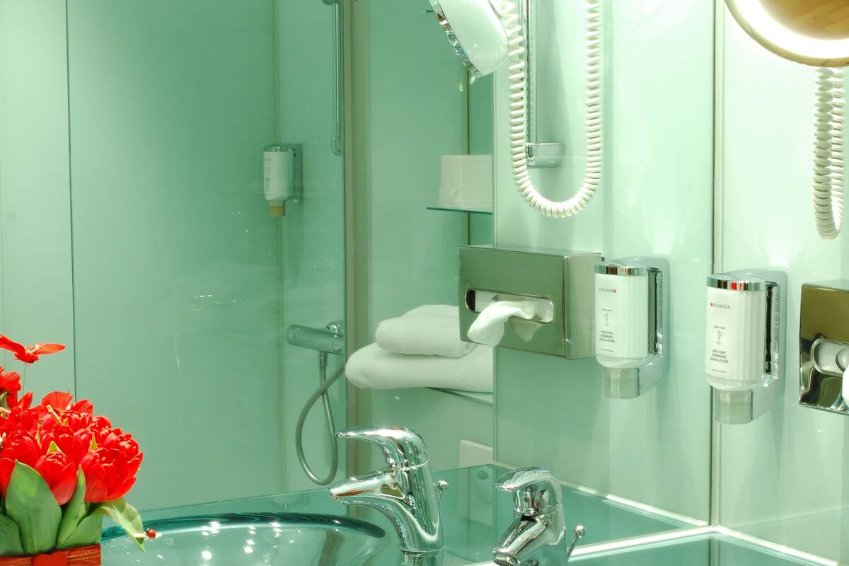 shower, free toiletries, hair dryer, towels