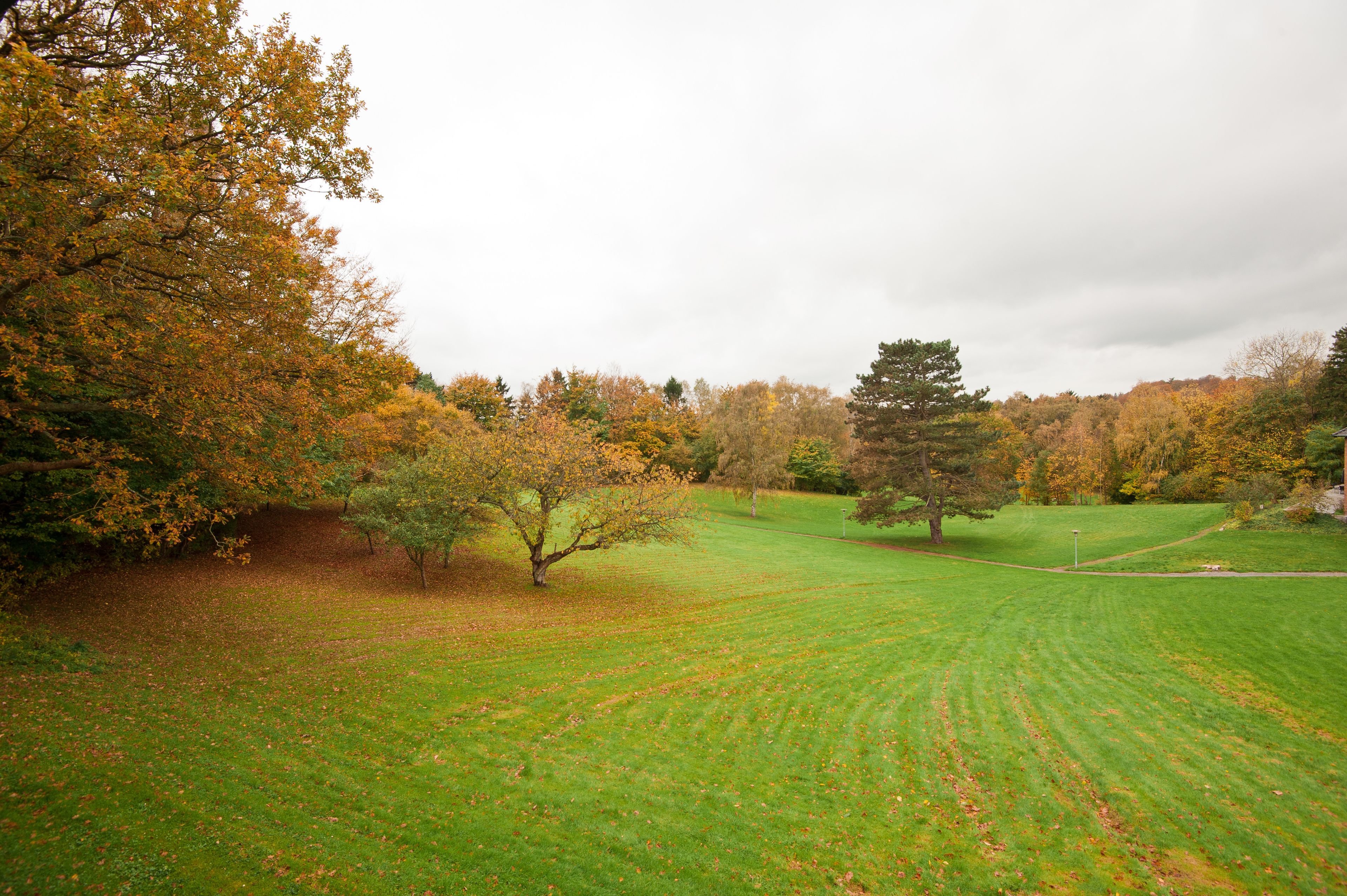 Foto - Comwell Holte