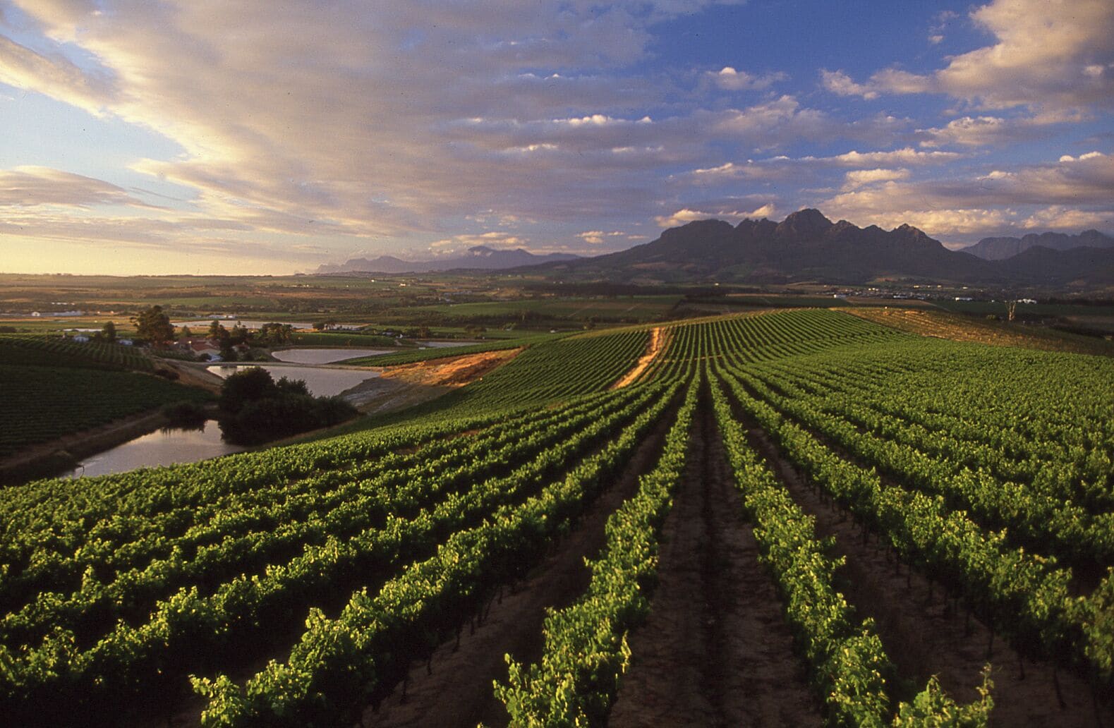 Foto - Protea Hotel by Marriott Stellenbosch & Conference Centre