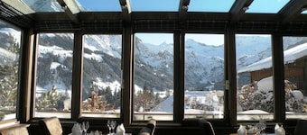 Hotel Steinmattli