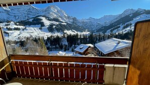 A mountain view from a wooden balcony with a snow-covered landscape, including a cabin and pine trees. - Hotel Steinmattli (Adelboden)