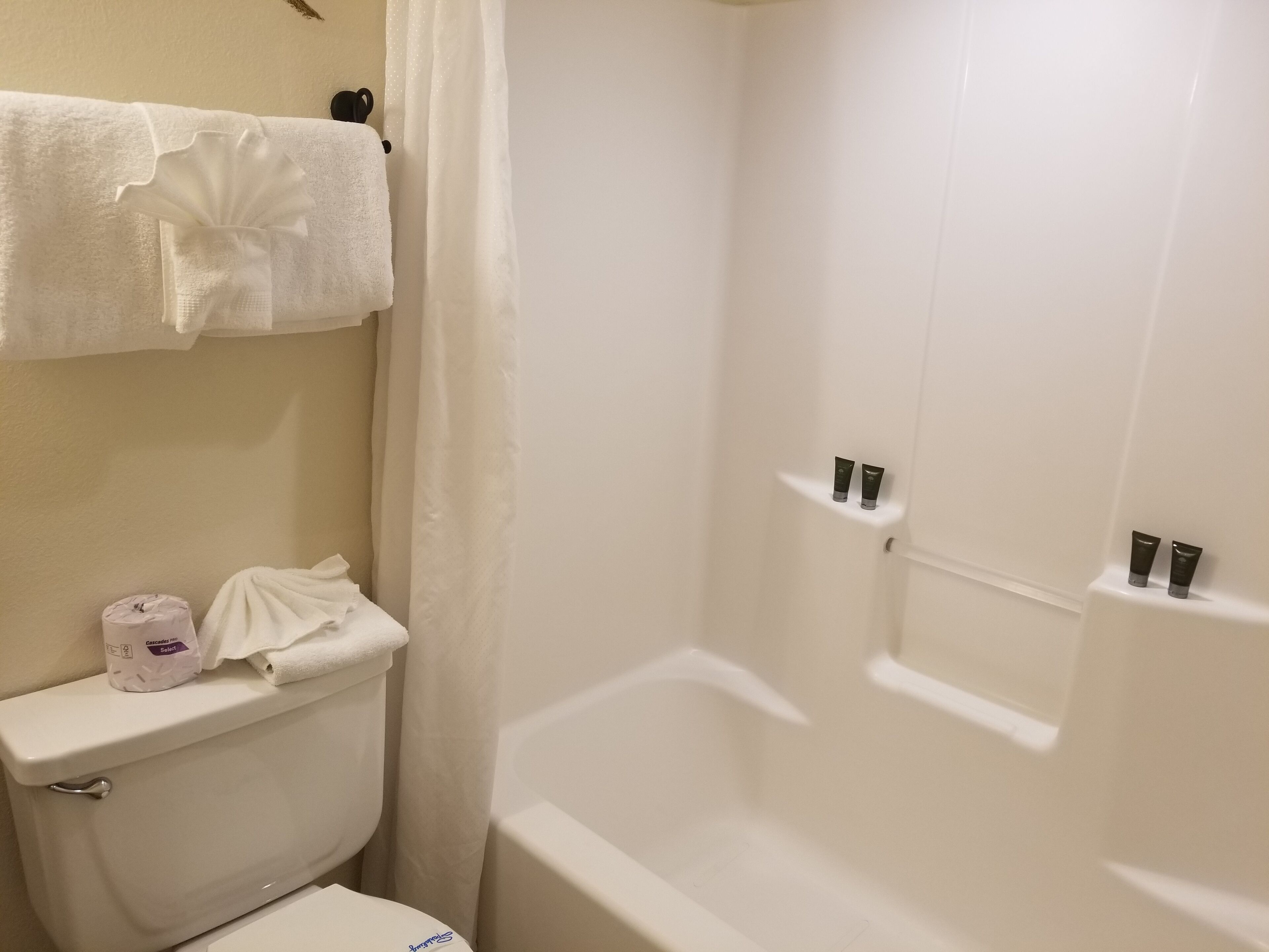 Une salle de bain avec des toilettes, un rideau de douche et une baignoire.