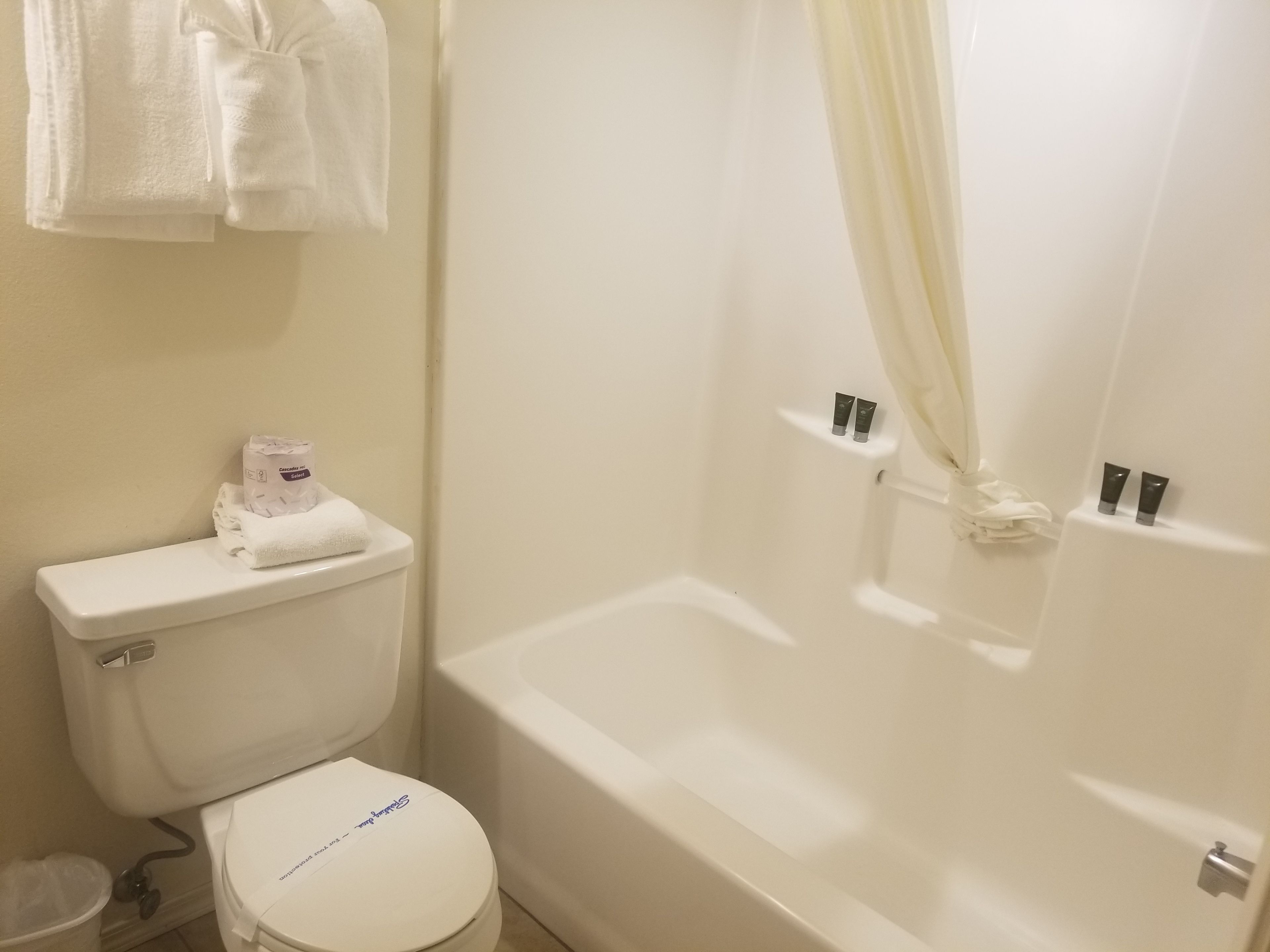 A bathroom with a toilet, a bathtub, and a shower curtain.