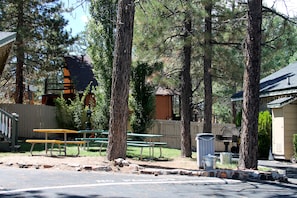 BBQ/picnic area