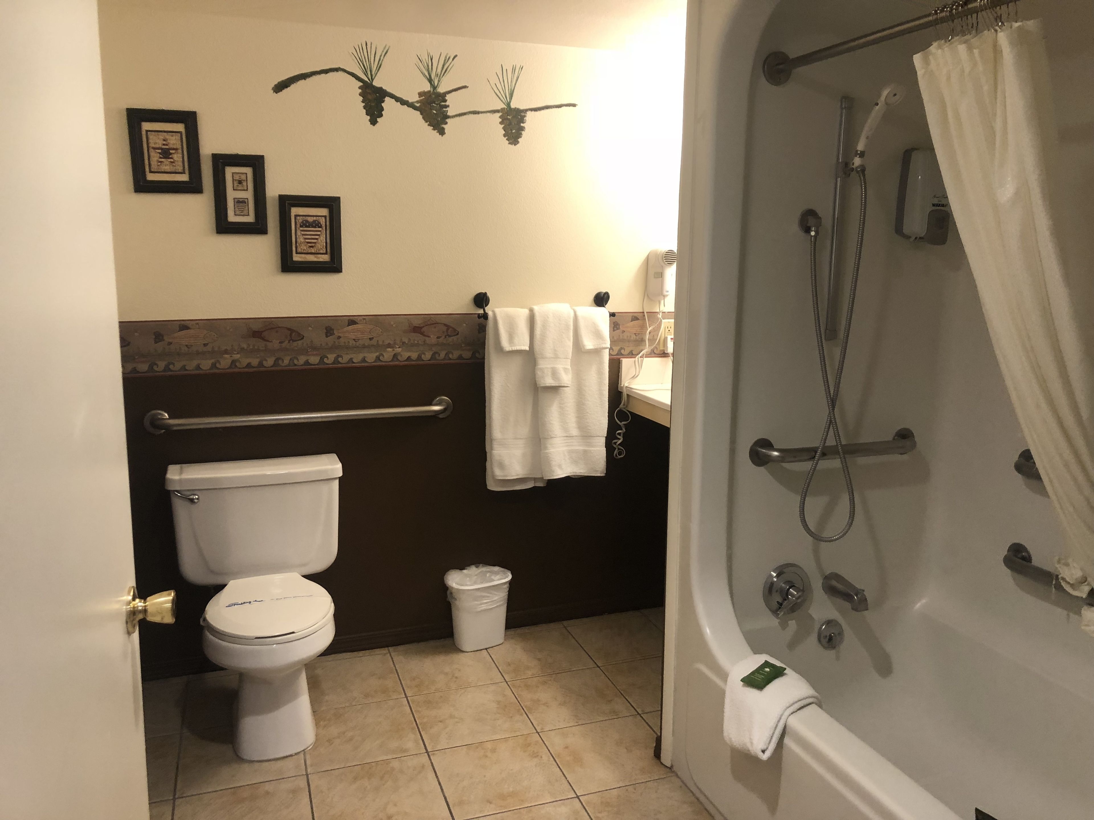 Een badkamer met toilet, douche, bad en een handgreep.