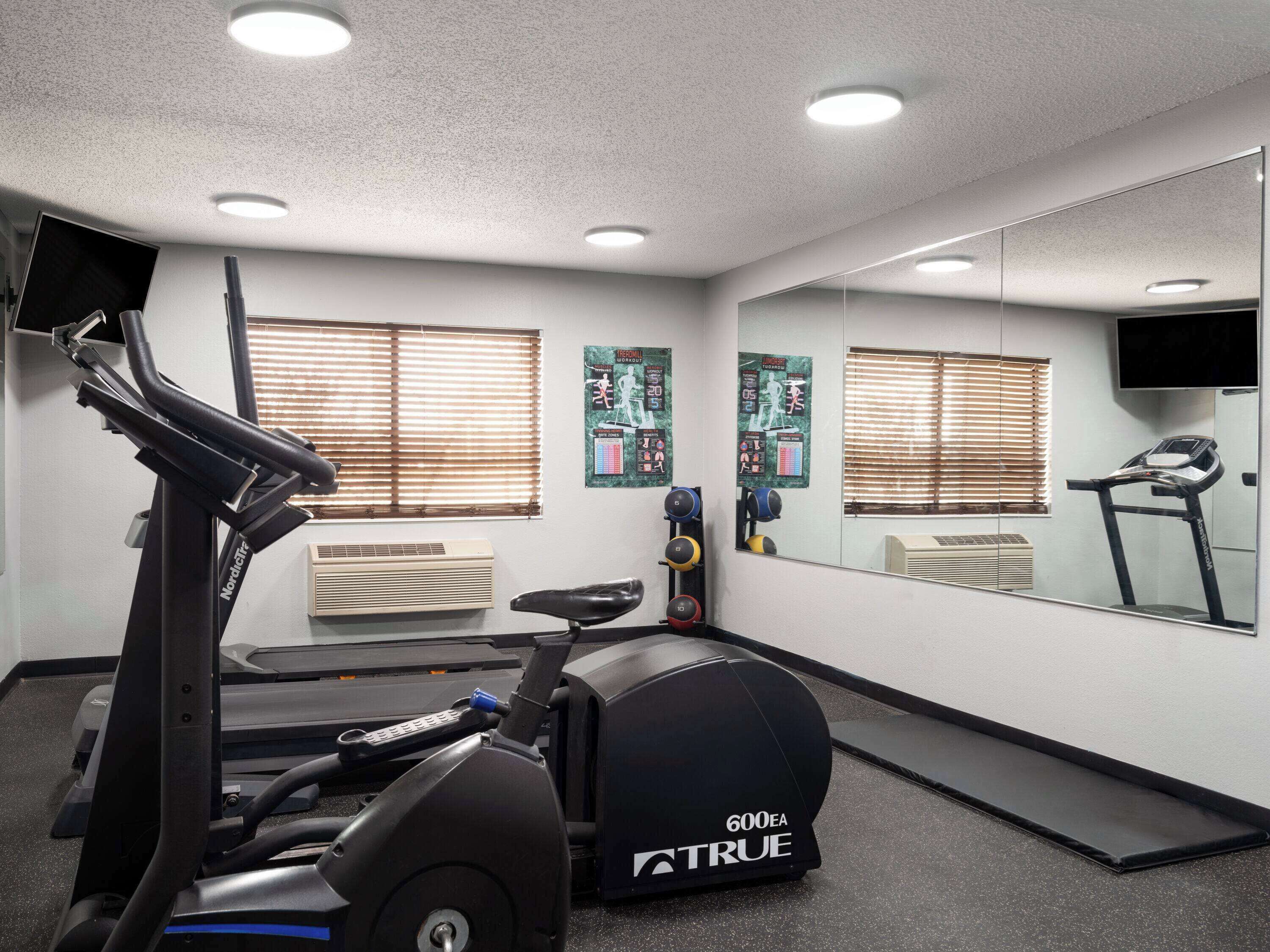 A gym with a treadmill, a stationary bike, and a rowing machine.