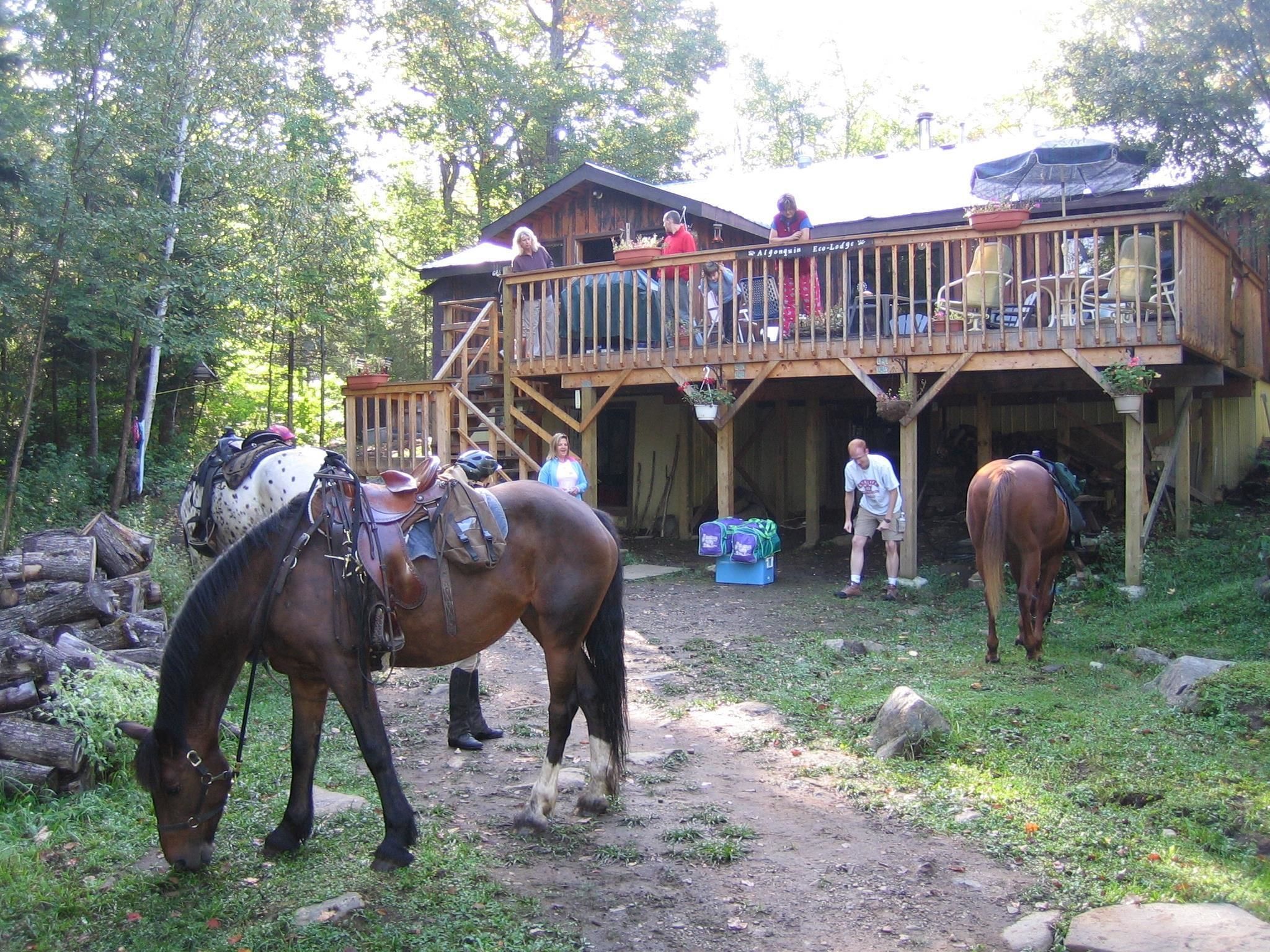 Un chalet rustique doté d’une terrasse en bois et d’un espace salon extérieur abrité.