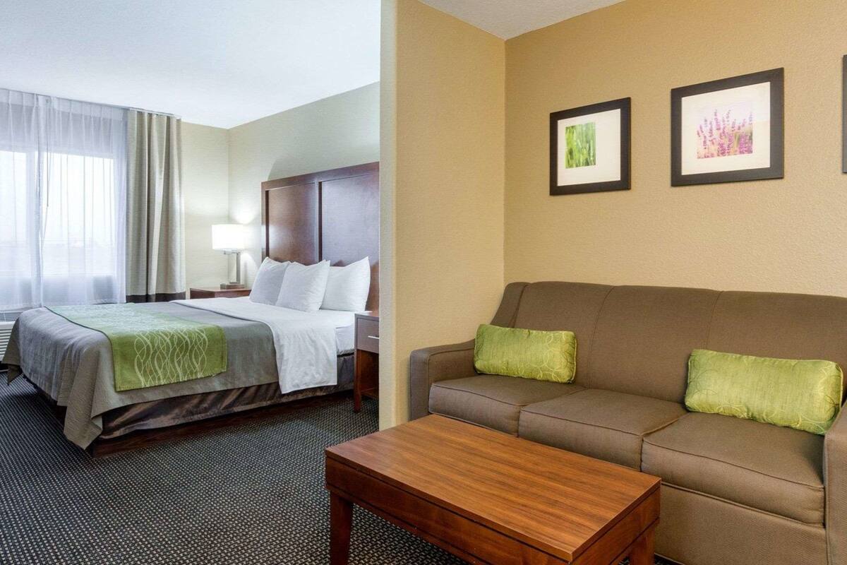 suite, 1 king bed with sofa bed, non smoking (upgrade) | desk, iron/ironing board, free wifi, bed sheets