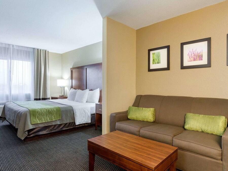 Suite, 1 King Bed with Sofa bed, Non Smoking (Upgrade) | Desk, iron/ironing board, free WiFi, bed sheets