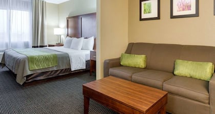 Comfort Inn Garden City