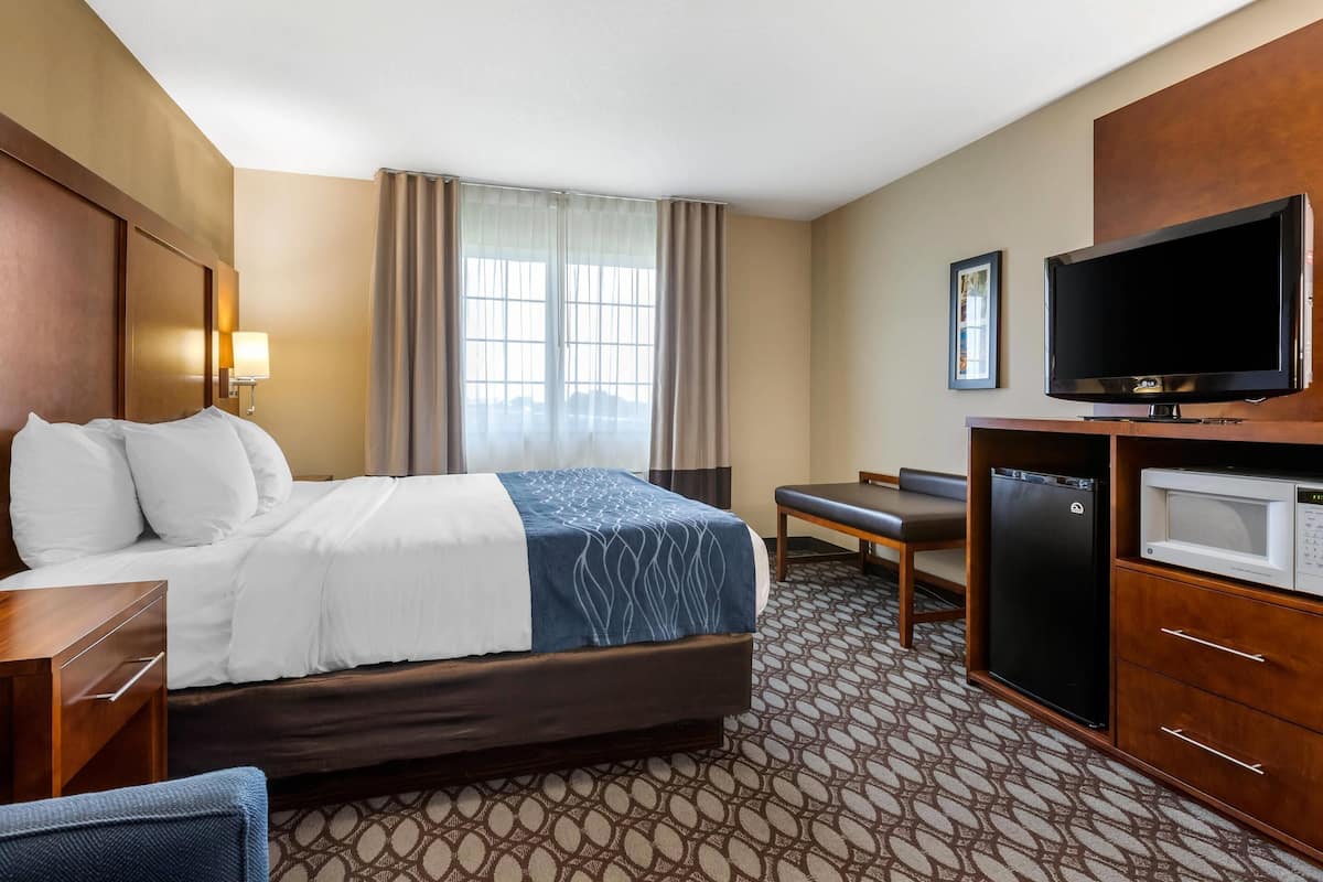 A hotel room with a bed, a desk, a television, a microwave, and a refrigerator.