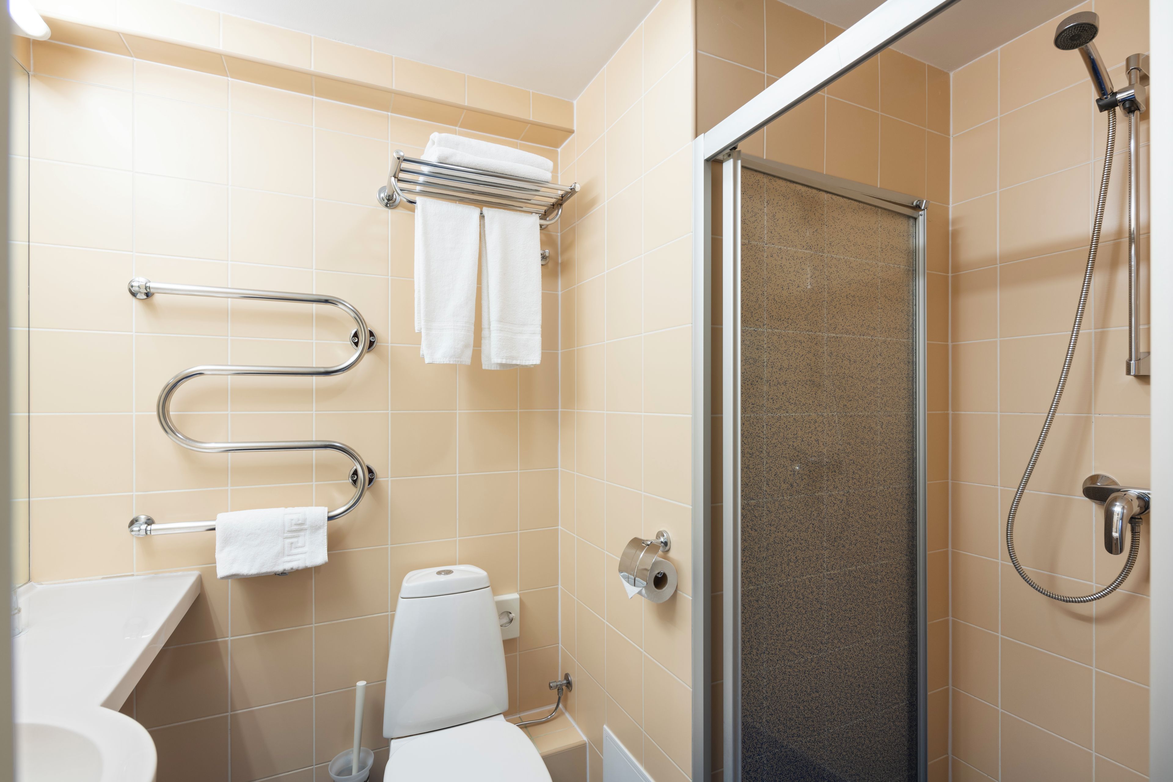 A bathroom with a toilet, a shower, and a towel rack.