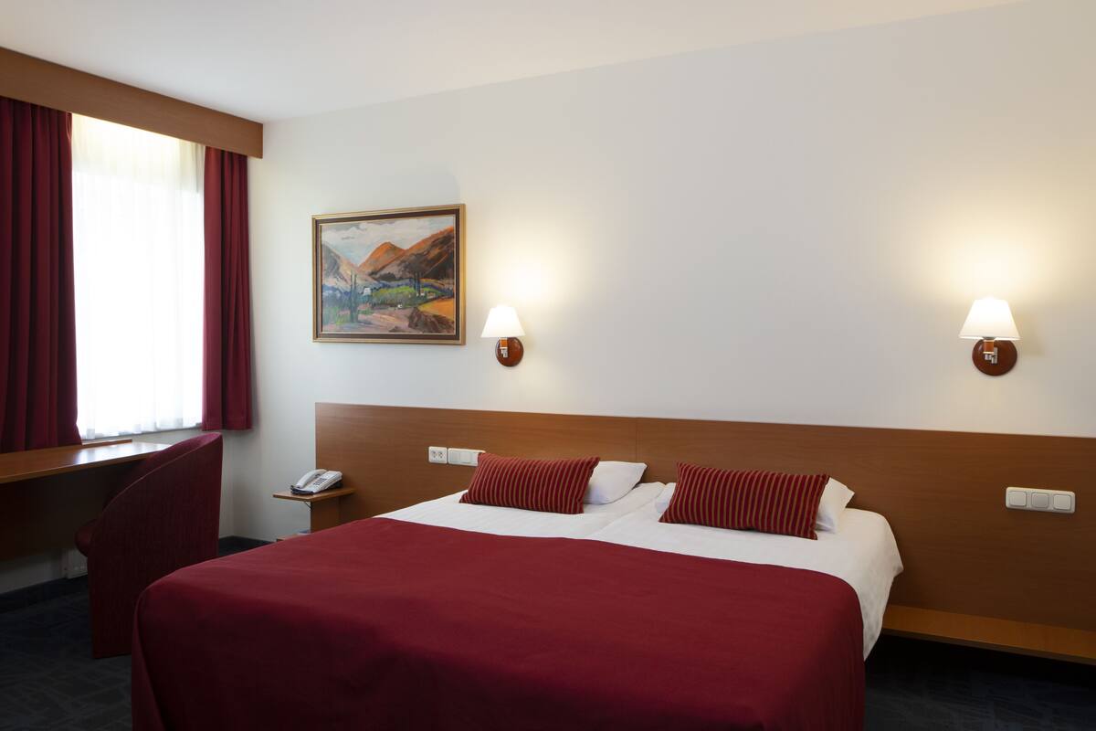 Hypo-allergenic bedding, minibar, desk, blackout curtains