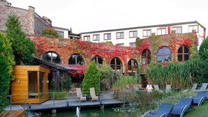 A courtyard with a wooden cabin, a pool, and lounge chairs.