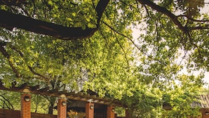 Garden - Orient Hotel (Kraków)