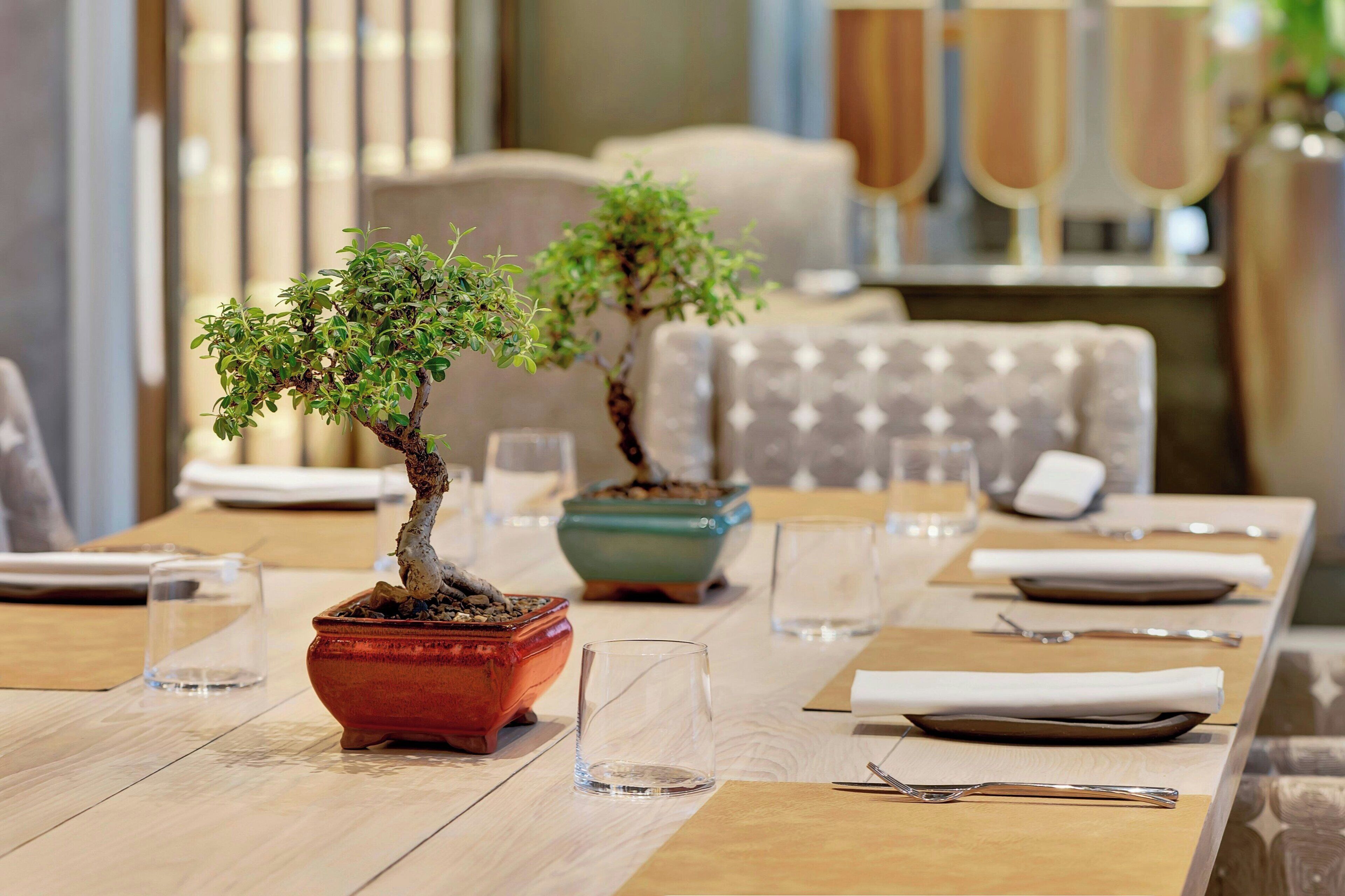A dining table with bonsai trees, clear glasses, and neatly arranged cutlery.