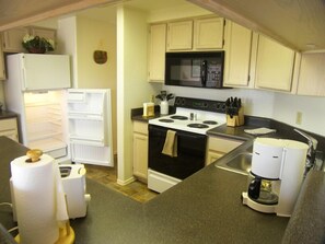 Großer Kühlschrank, Mikrowelle, Herdplatte, Geschirrspüler