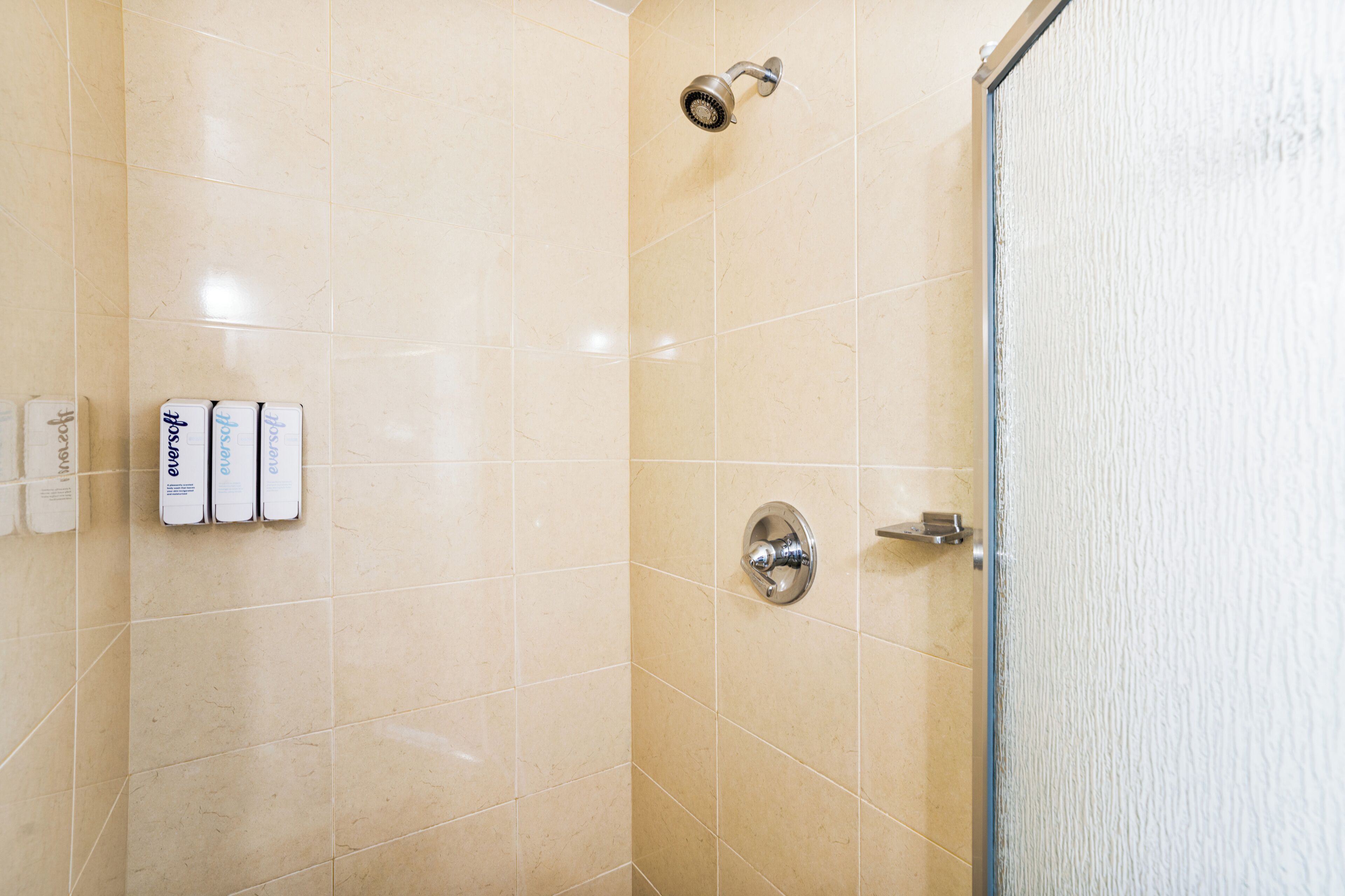 shower, hydromassage showerhead, hair dryer, towels