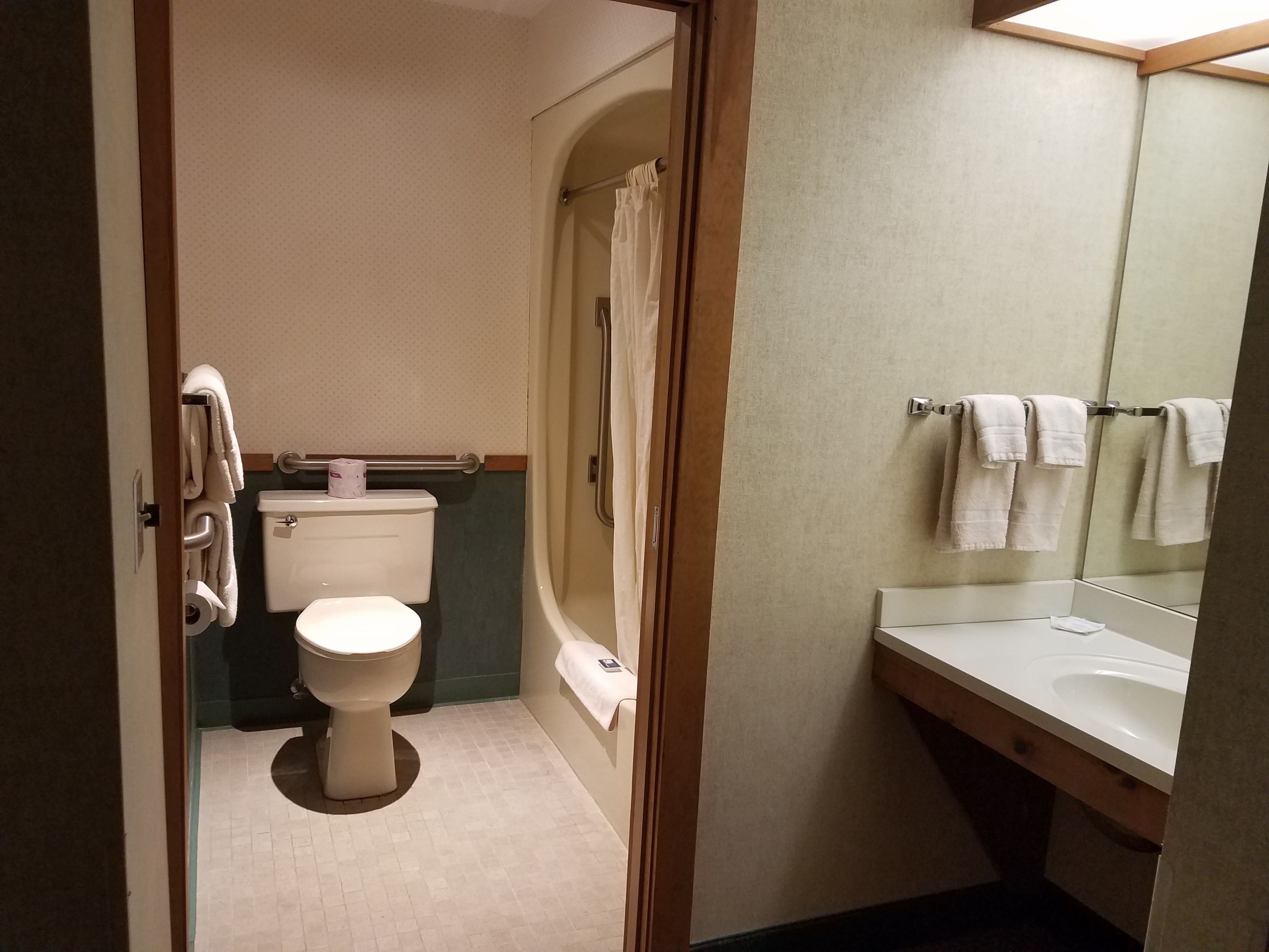 Een kleine badkamer met toilet, douche en wastafel.