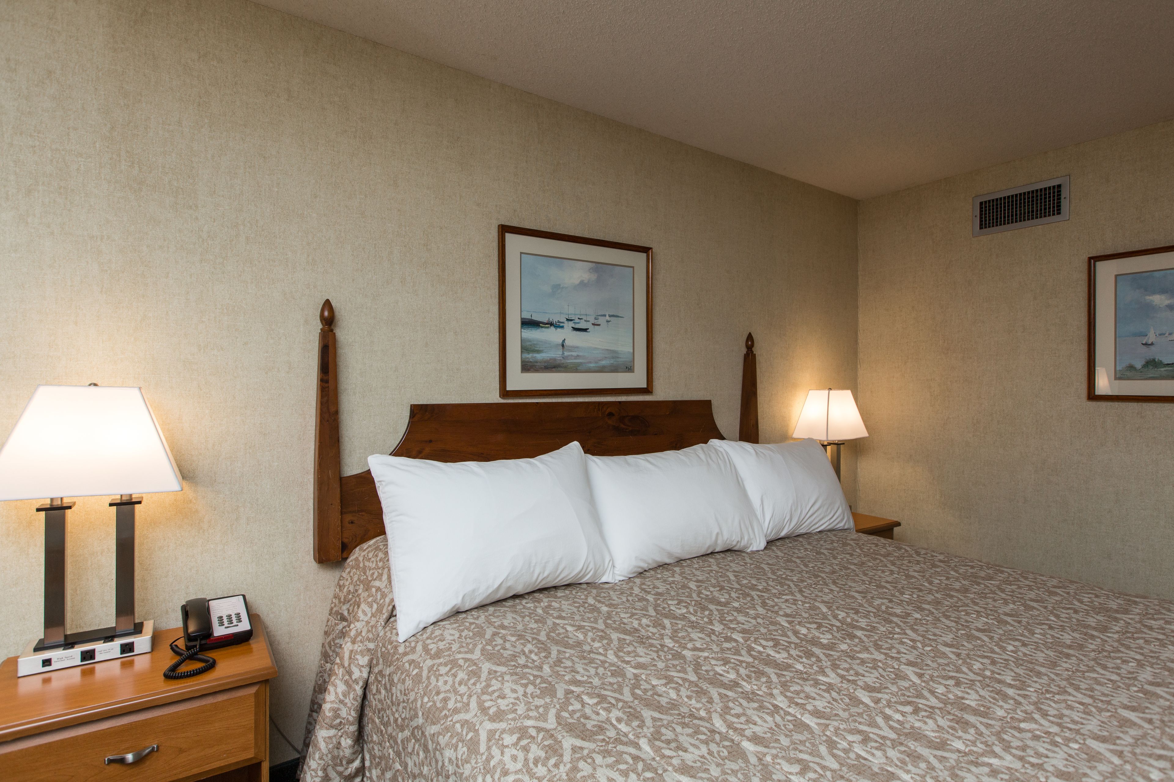 deluxe room, 1 king bed. pet availability limited. please inform of pets at time of booking.  | pillow-top beds, free wifi, bed sheets