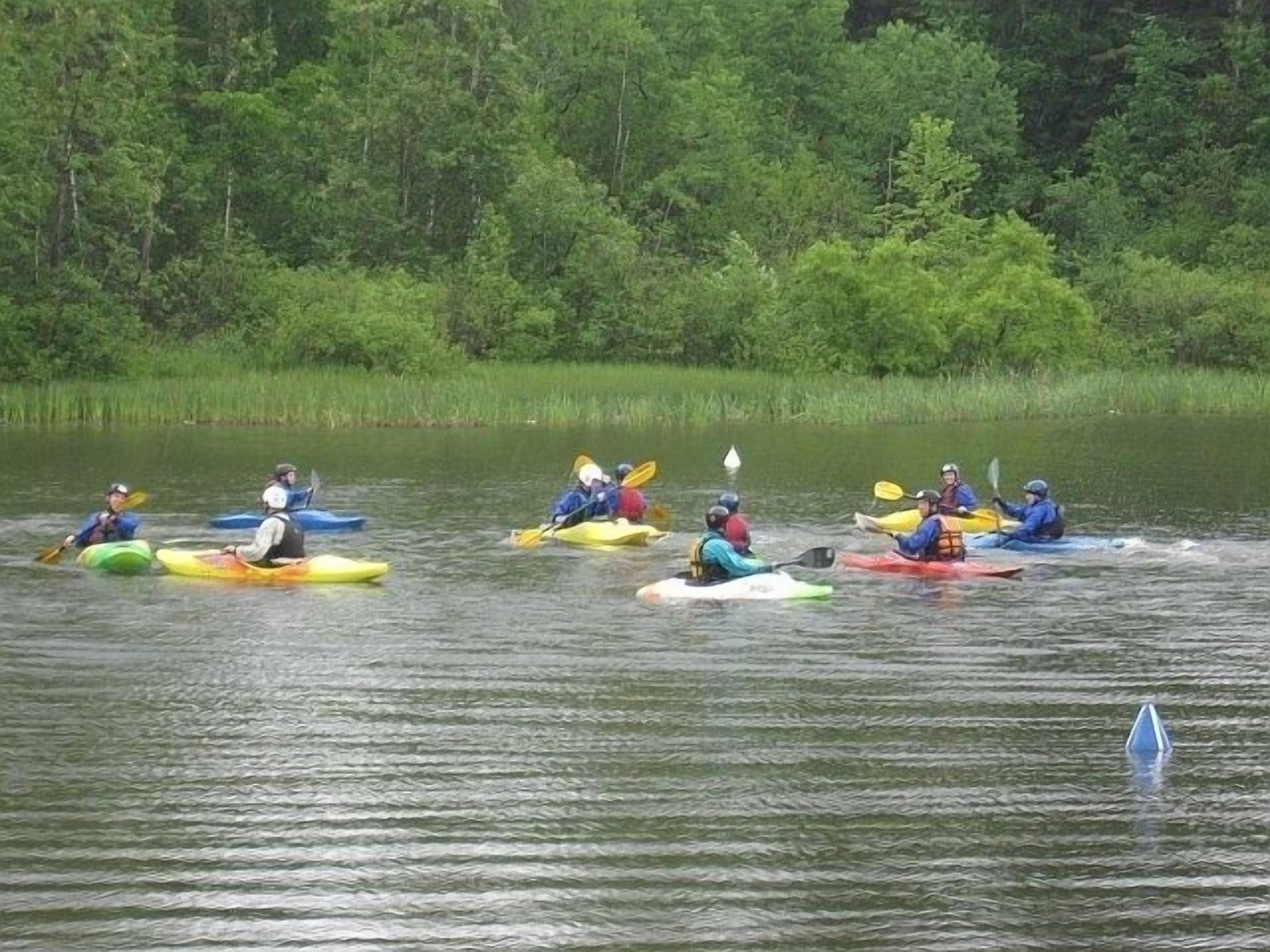 A group of people kayaking on a calm body of water surrounded by dense greenery.