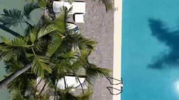A swimming pool with palm trees and lounge chairs.