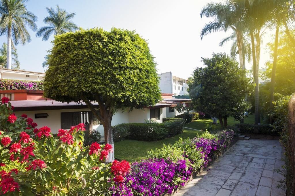 Un jardín con un sendero, un árbol cuidadosamente podado y un edificio de techo rojo.