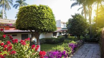 A garden with a pathway, a neatly trimmed tree, and a building with a red roof.