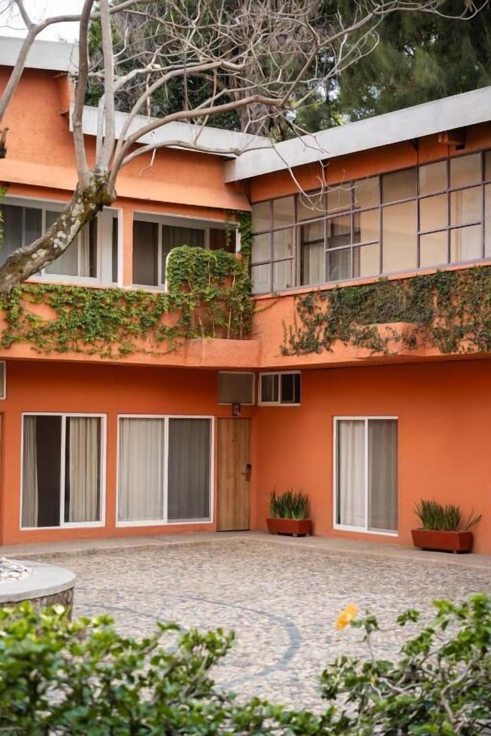 A multi-story building with a courtyard, large windows, and potted plants.