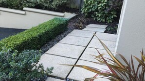 A paved pathway with a hedge on one side and a plant on the other. - Motel on York (Dunedin)