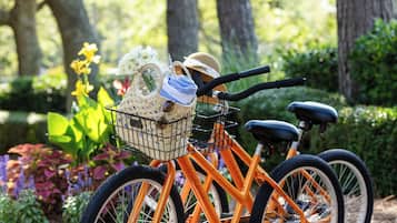 A bicycle with a basket containing a hat, a towel, and a small plant, parked in a garden with trees and flowers.