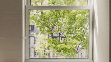 A window with a view of trees and buildings.
