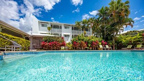 A clear blue pool with a white building in the background, surrounded by lush greenery and palm trees.