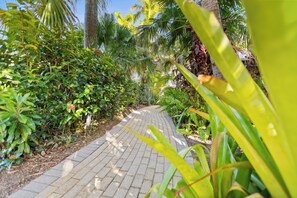 A paved pathway surrounded by lush greenery and palm trees. - Trinity Beach Club Holiday Apartments (Trinity Beach)
