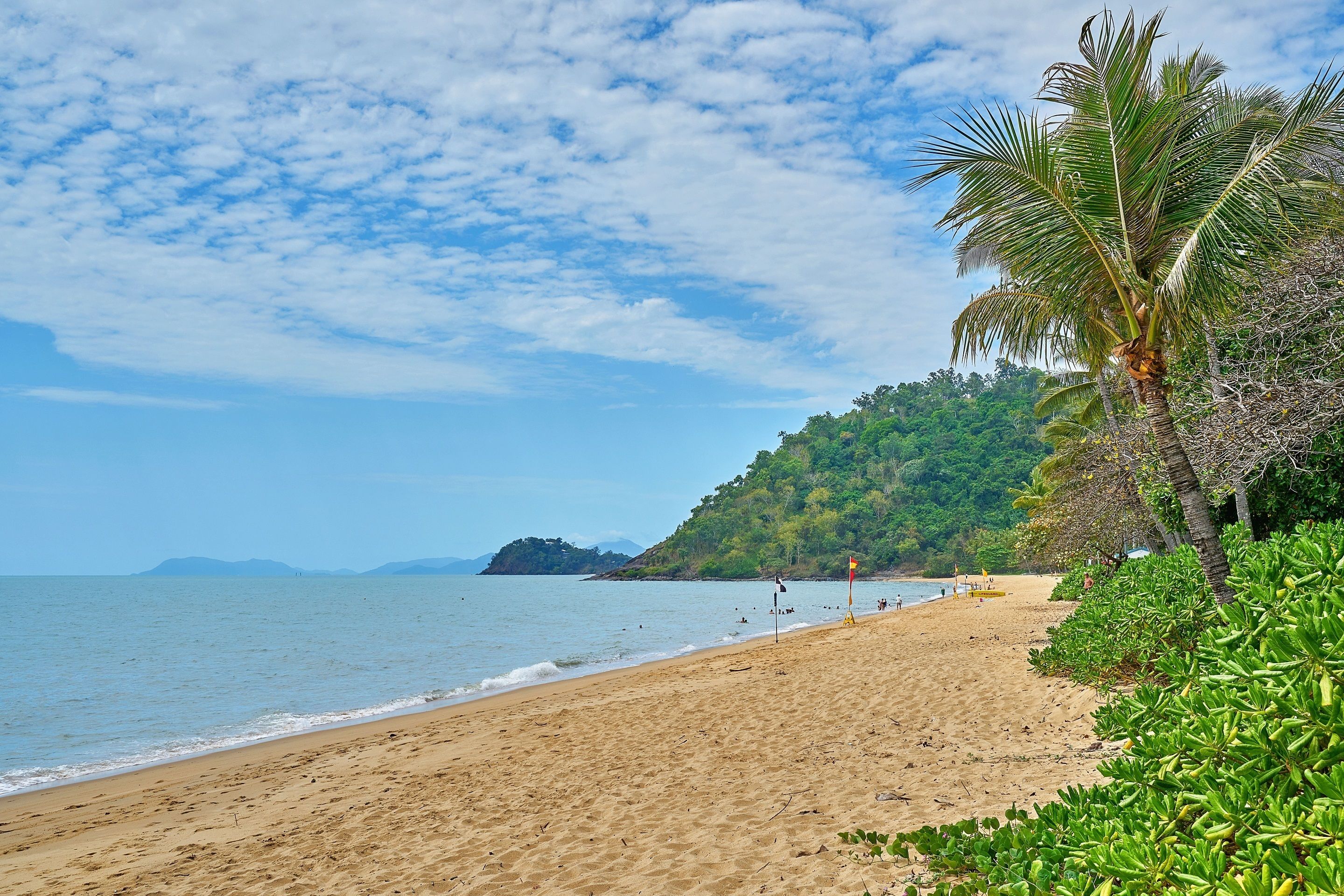 Uma praia com céu claro, areal arenoso e vegetação exuberante.