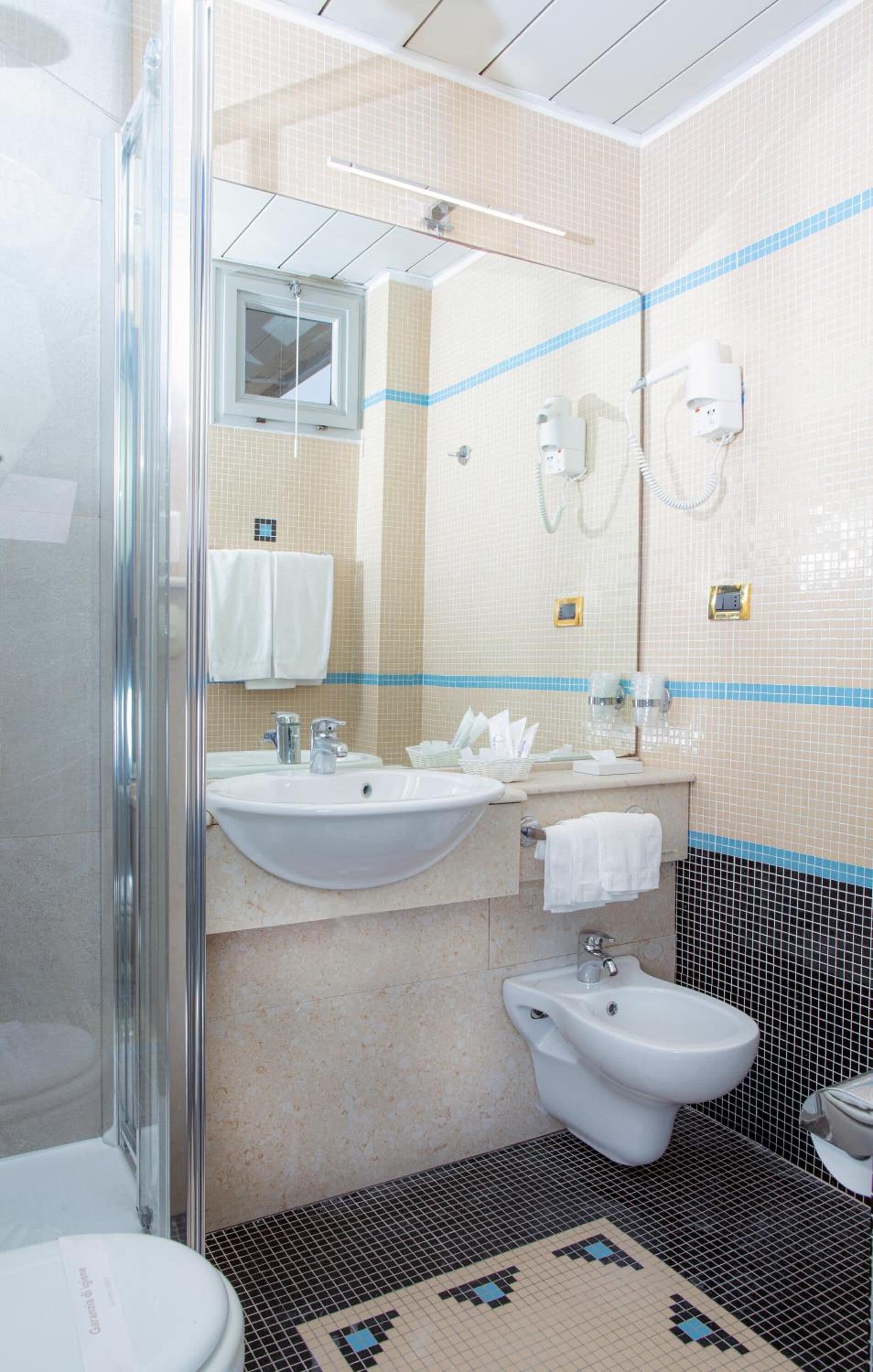 shower, free toiletries, hair dryer, bidet