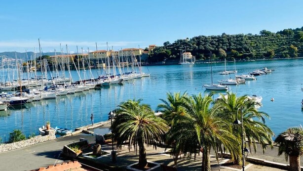 Un puerto deportivo con varias embarcaciones amarradas, palmeras y un cielo azul despejado.