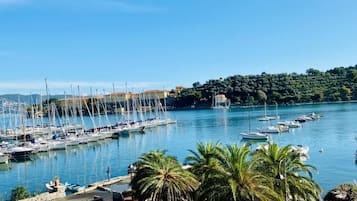 Panoramic Room | View from room