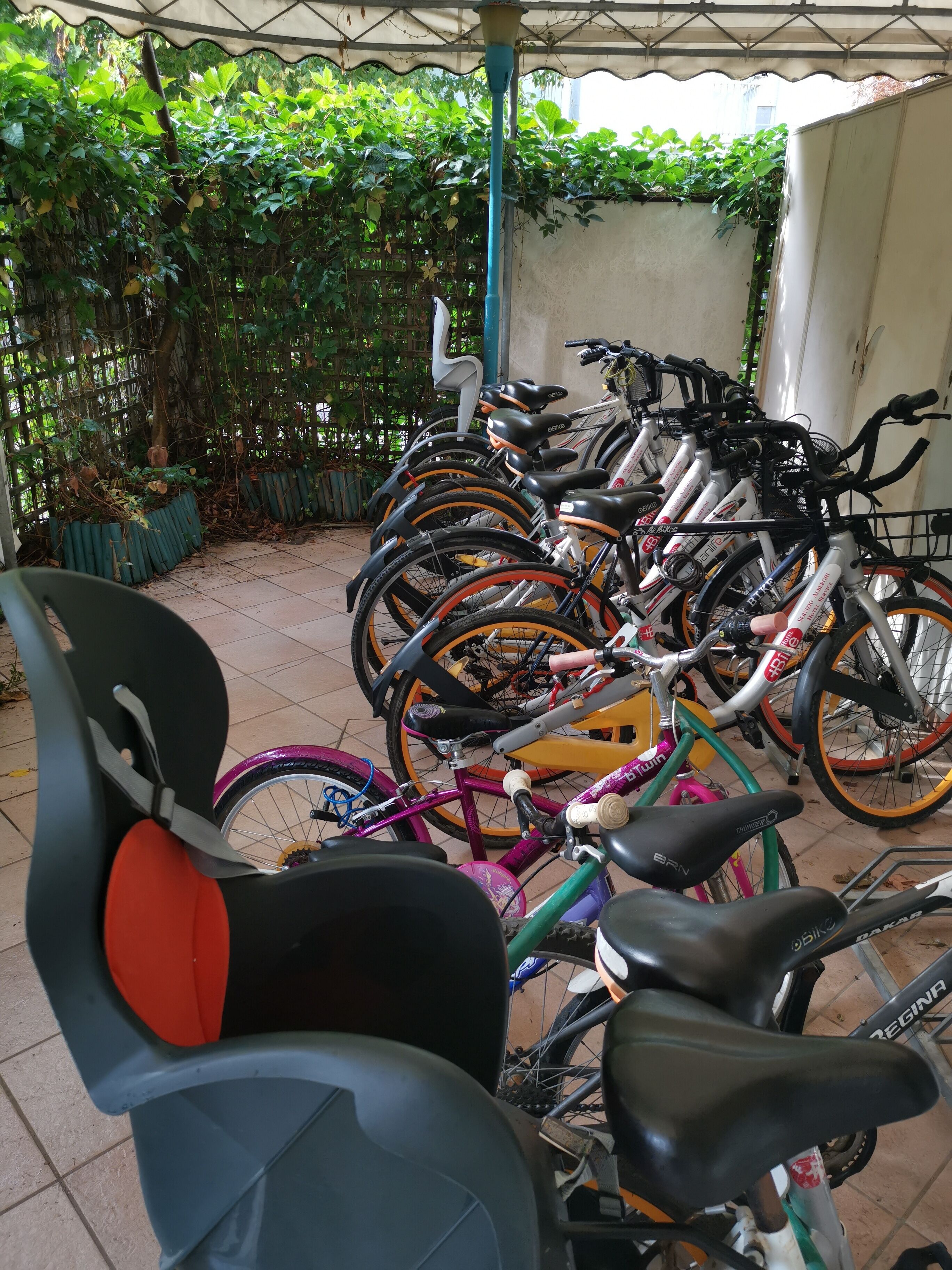Een rij fietsen geparkeerd onder een overkapping, omgeven door groen en een betegelde vloer.