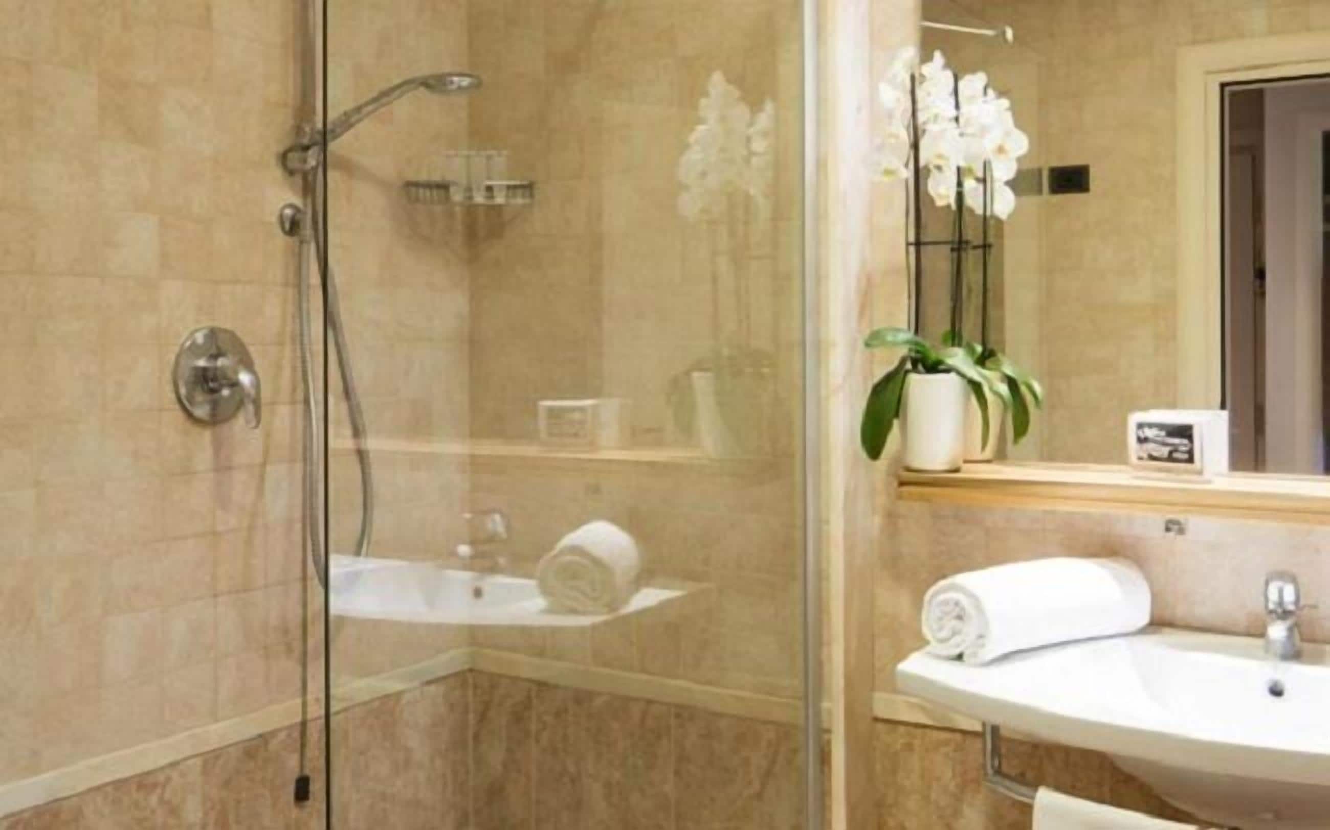 Un baño con ducha envuelta en vidrio, lavabo y espejo.