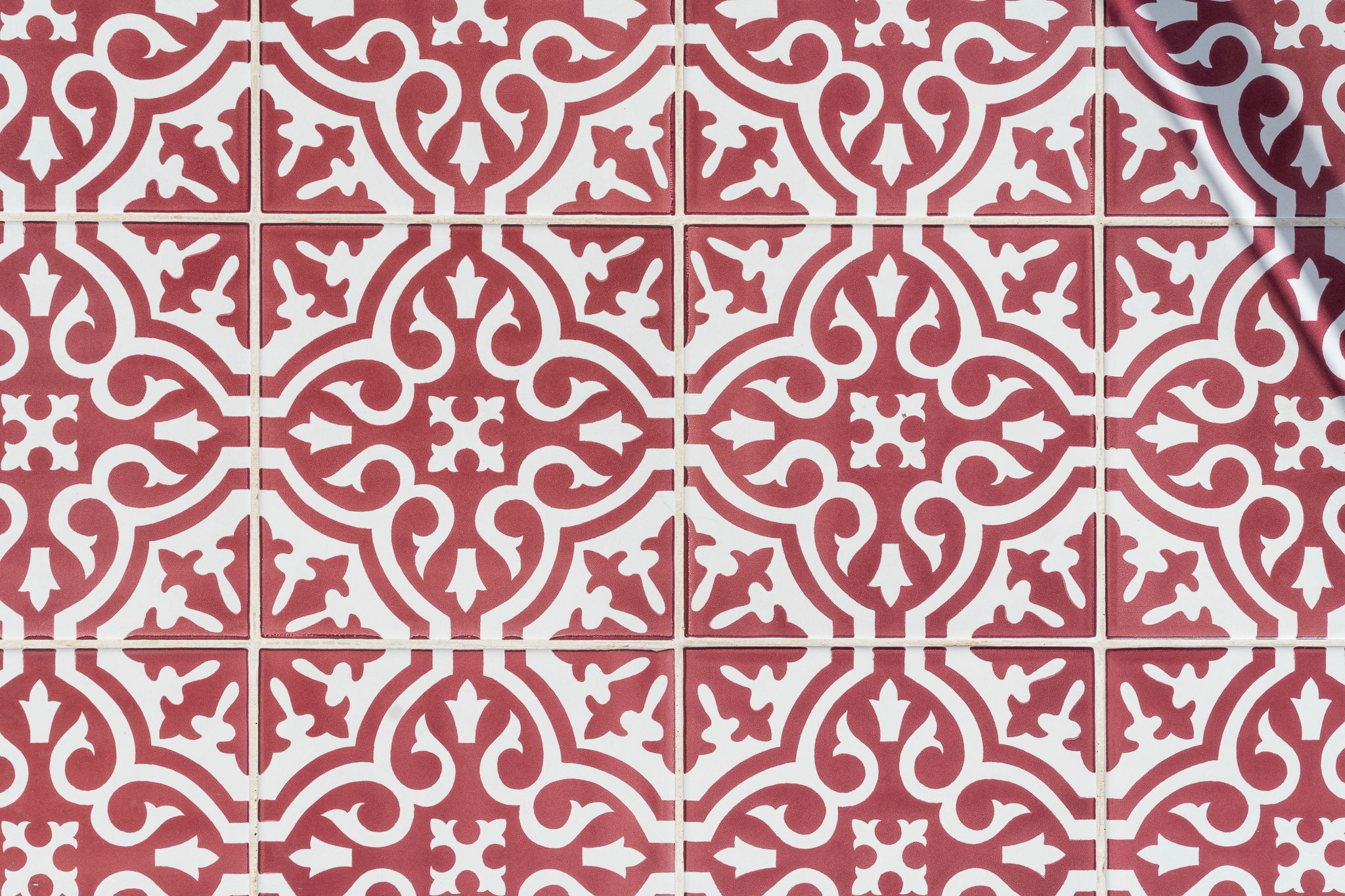 Un motif de carreaux décoratifs présentant un dessin symétrique et orné.