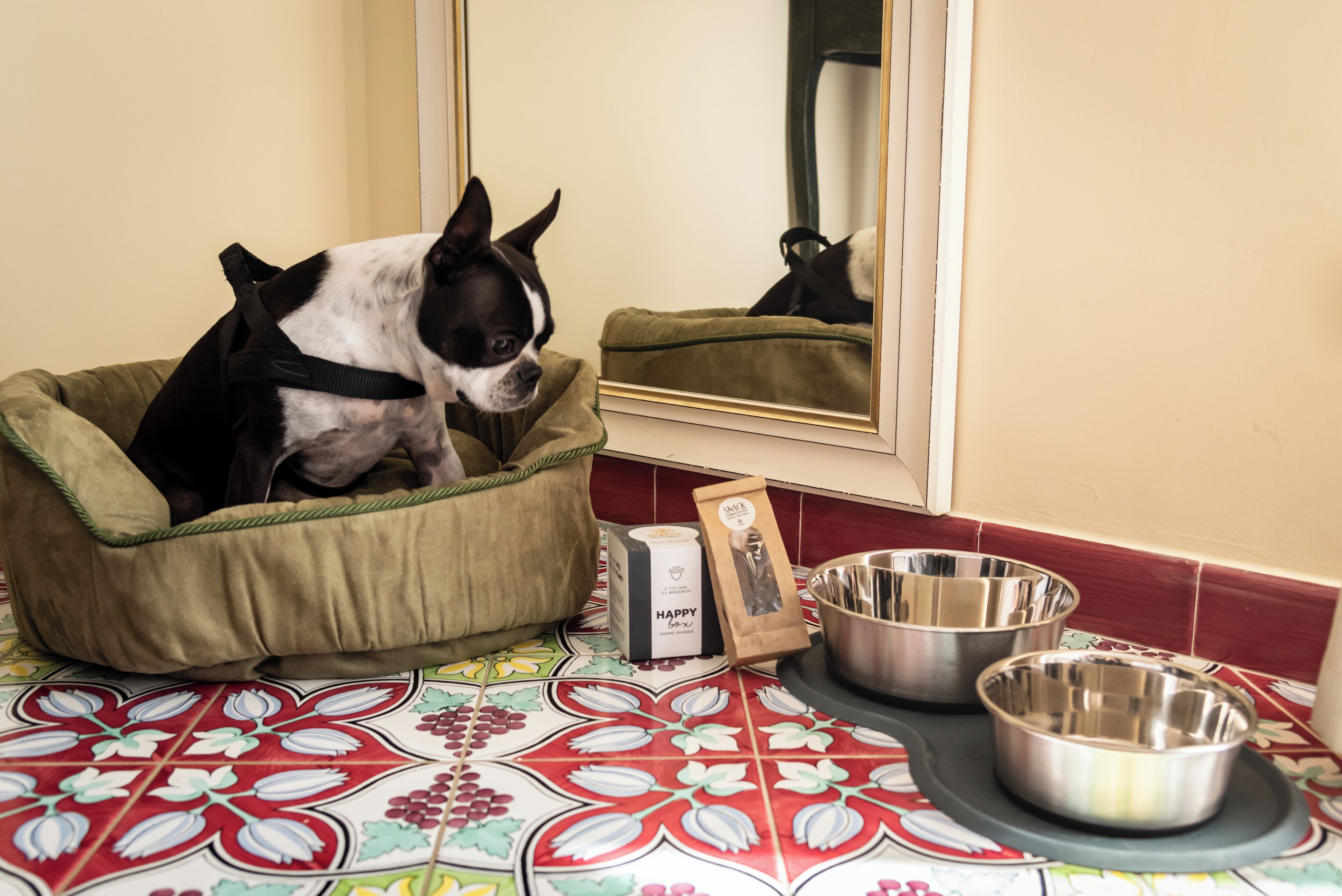 Foto - Hotel Margherita