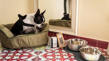 A dog in a bed, a mirror, and two metal bowls on a tiled floor.