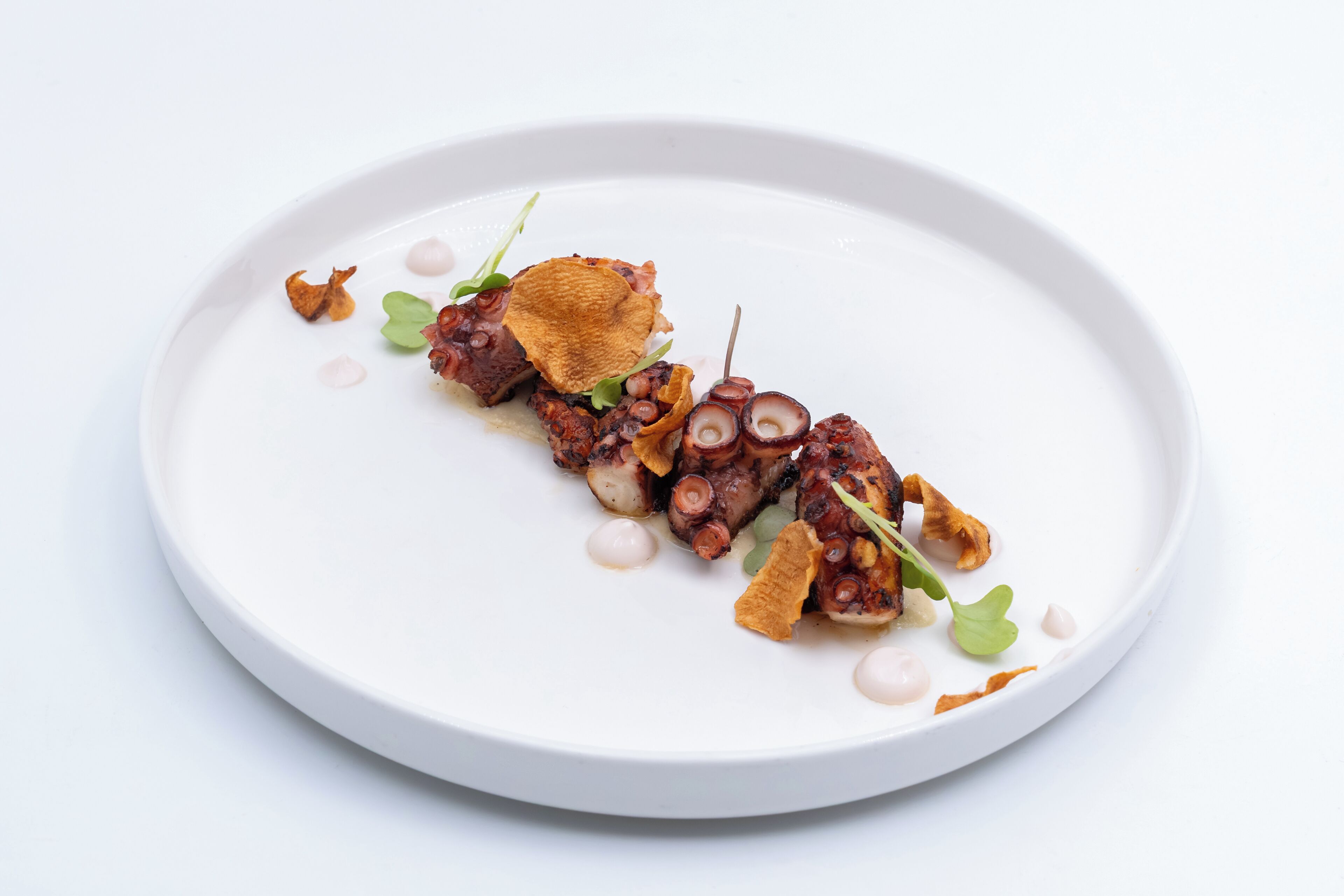 A white plate with octopus and garnishes.