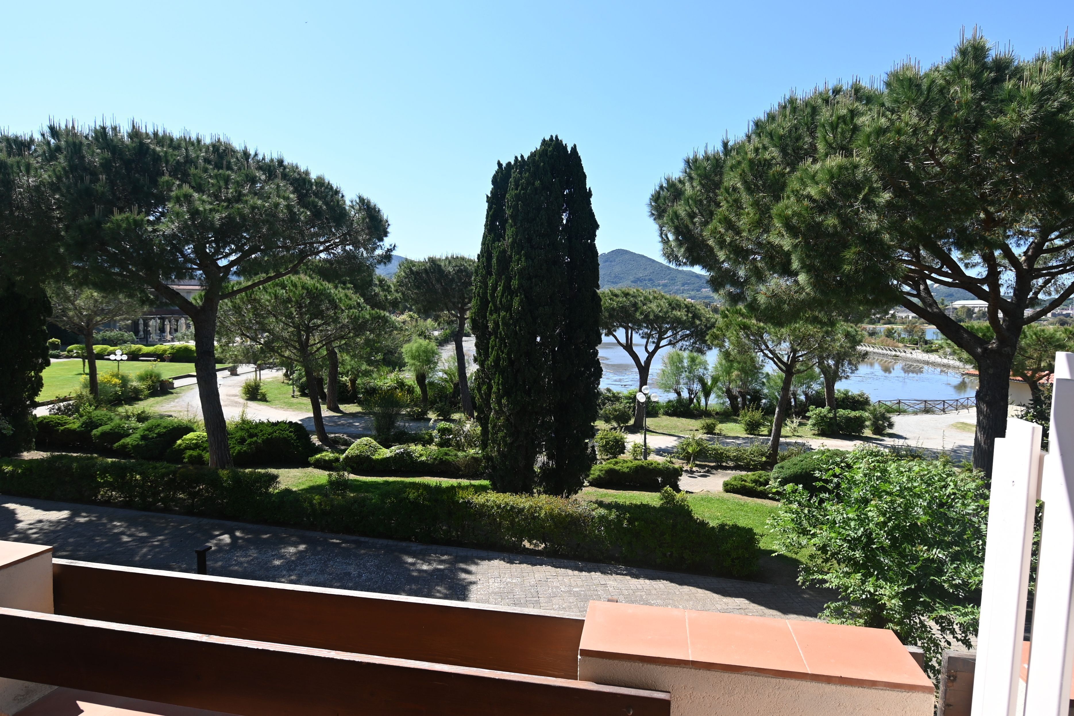 A view of a landscaped garden with trees and a body of water.