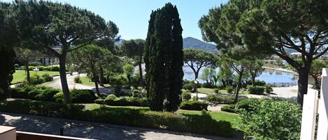 A view of a landscaped garden with trees and a body of water.