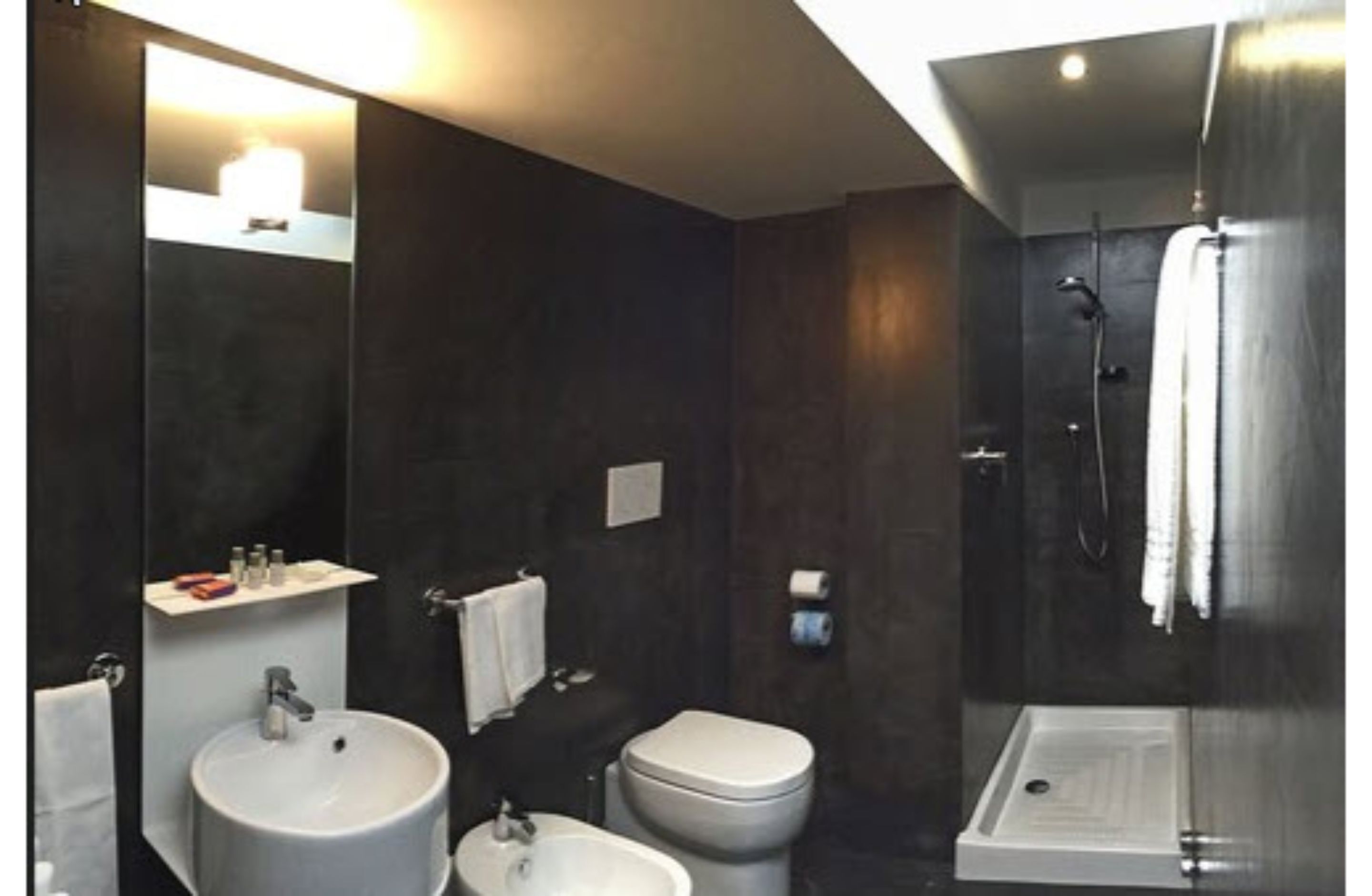 free toiletries, hair dryer, bidet, towels