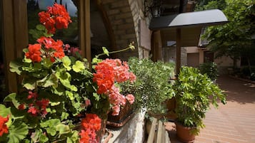 Detalle exterior