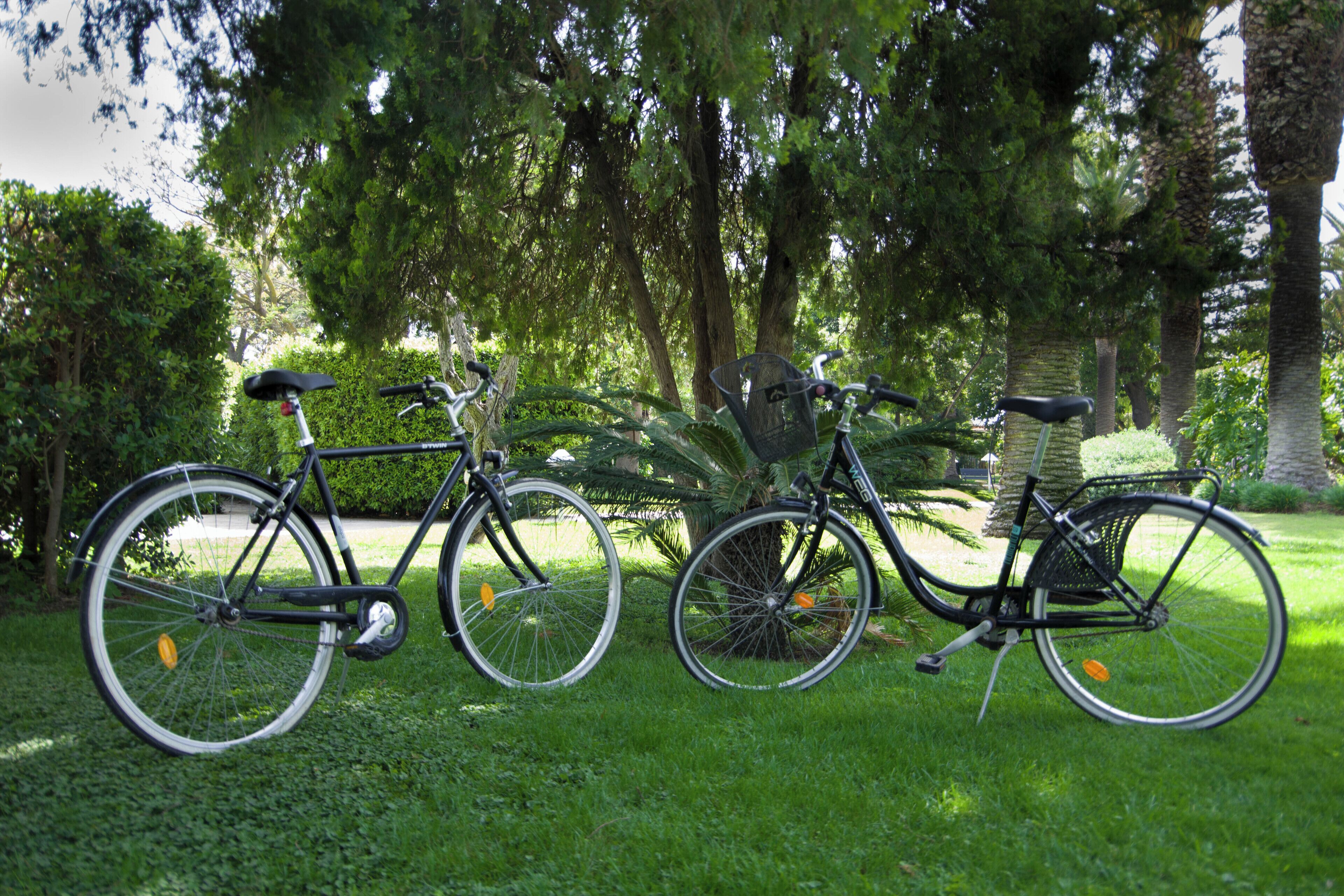 Two bicycles parked on a grassy area with trees in the background.